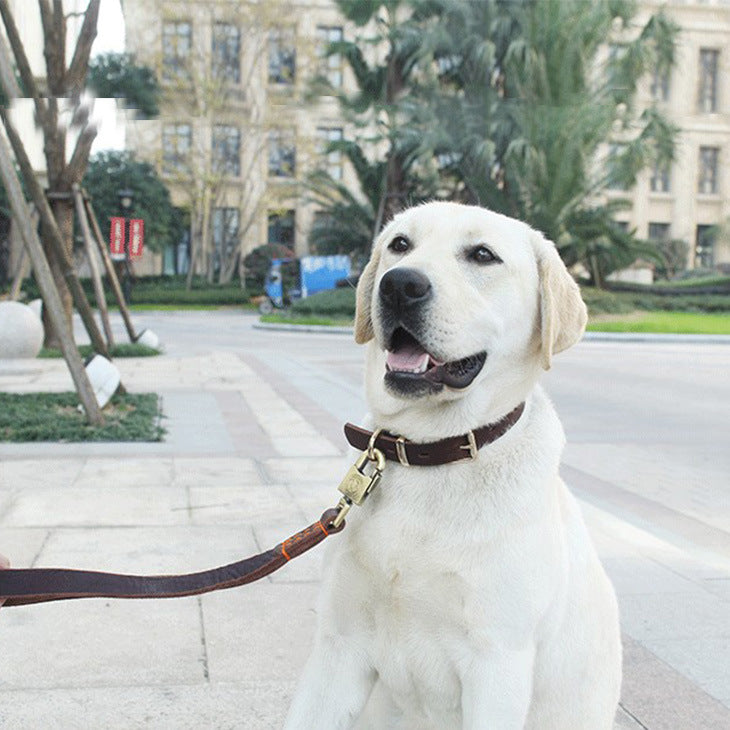 طوق جلد طبيعى للكلاب المتوسطة وكبيرة الحجم، طوق مخصص للكلاب مزود ب 2 إبزيم معدني ومرصع بفصوص النحاس مقاوم للصدا