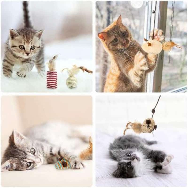 لعبة تحفيز للقطط، المكونة من 7 قطع