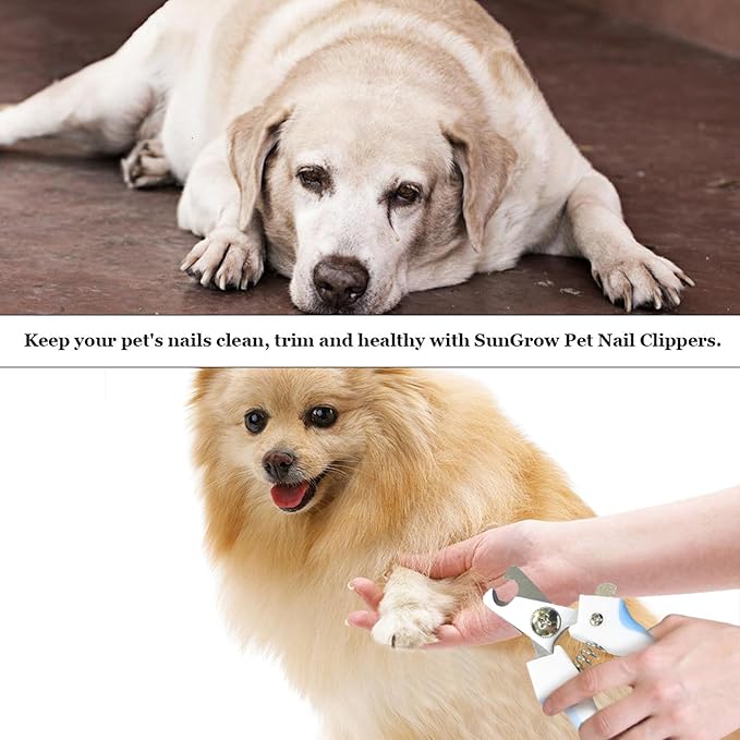 مجموعة قصافة أظافر الكلاب، مع أداة قص ومبرد شفرة حادة مع مفتاح أمان