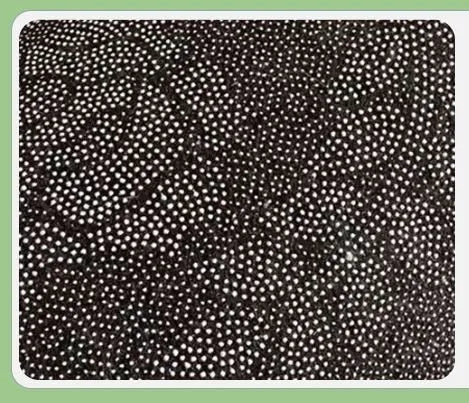 طقم سجاد مطبخ، سجاد أرضية بتصميم ممتص للماء والزيت، بجزء خلفي غير قابلة للإنزلاق، سهل التنظيف ولا يتساقط منه الوبر مكون من قطعتين مقاس (50 * 80) + (50 * 160 )