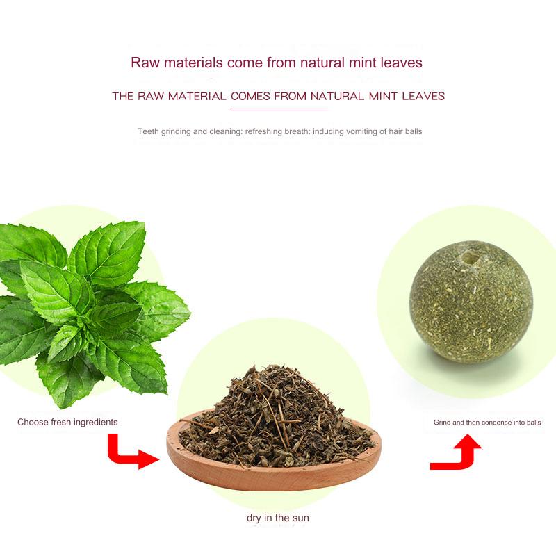 عشبة النعناع البري للقطط، حلوى دوارة للقطط الصغيرة مع حماية ضد الرطوبة، كرة طاقة غذائية للقطط، كرات لتنظيف أسنان الحيوانات الأليفة