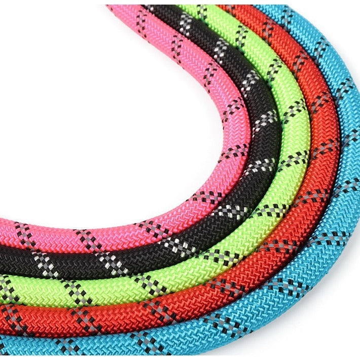 زمام متين للكلاب، حبل مستدير من النايلون مع مقبض مبطن مريح وخيوط عاكسة للضوء للحيوانات الأليفة مناسبة للكلاب المتوسطة والكبيرة