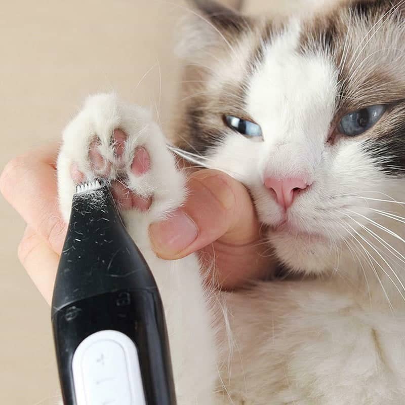 أدوات العناية بالحيوانات الأليفة، ماكينة تصفيف شعر الحيوانات الأليفة